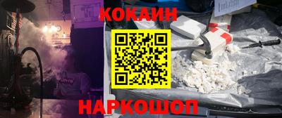 молекула духа Будённовск