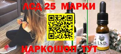 молекула духа Будённовск