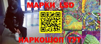 молекула духа Будённовск