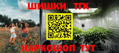 молекула духа Будённовск