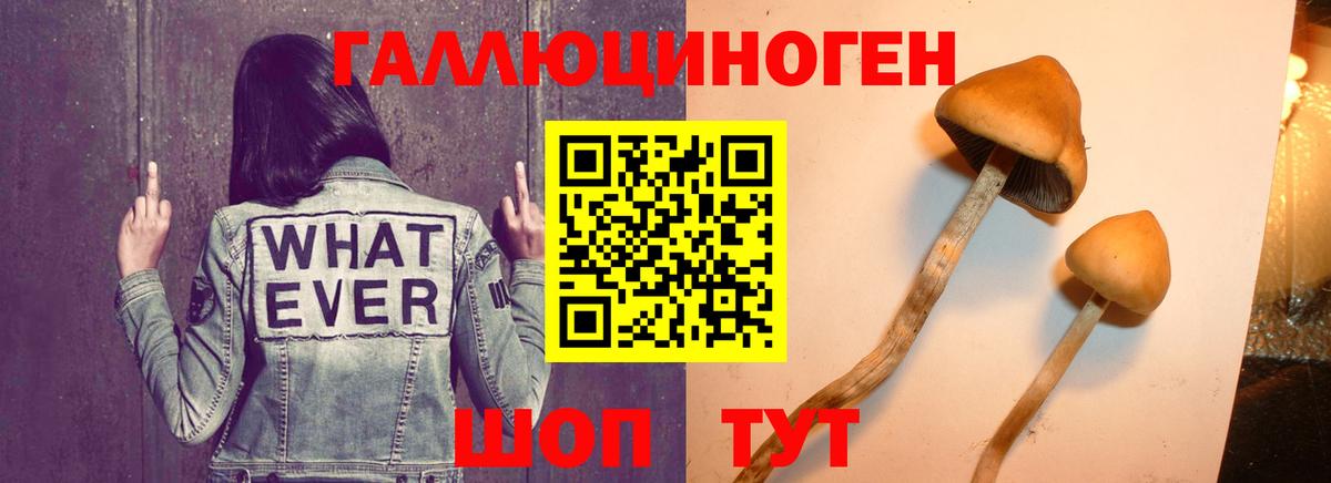 Партизанск  Псилоцибиновые грибы GOLDEN TEACHER  Вход с VPN 