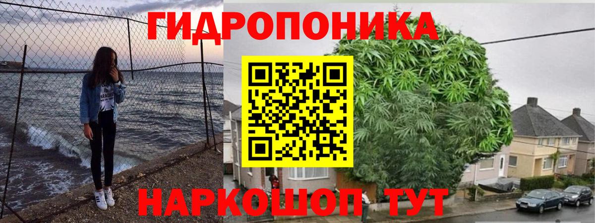 Бошки Шишки Bruce Banner  Марихуана Bruce Banner  Партизанск  Бошки Шишки семена  Вход с VPN  Каннабис MAZAR 
